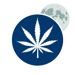 Indica